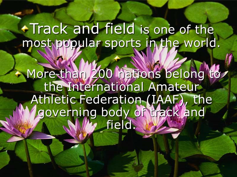 Track and field is one of the most popular sports in the world. 